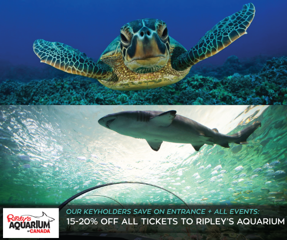 Toronto Ripley's Aquarium | Toronto Key To The City