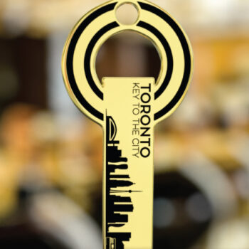 <b>BLACK FRIDAY & CYBER MONDAY WEEKEND:  25-Keys Package  </b> - Image 2