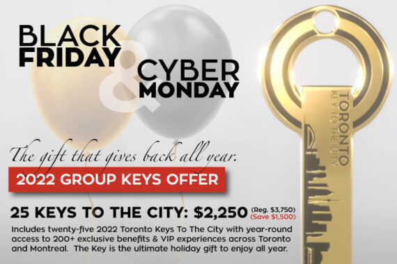 <b>BLACK FRIDAY & CYBER MONDAY WEEKEND:  25-Keys Package  </b>